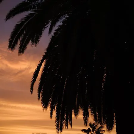 Casa Papaya - Year Heated Pool *