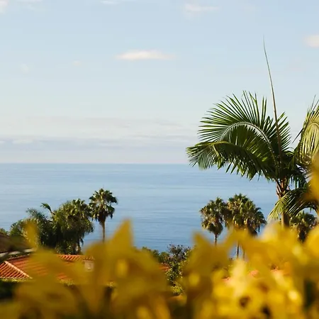 Casa Papaya - Year Heated Pool Βίλα La Orotava